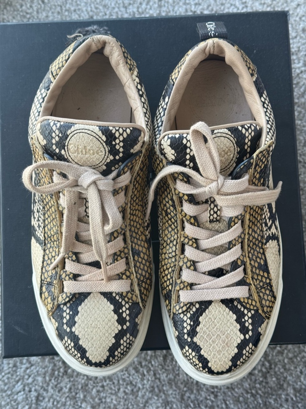 Chloe’ Python Print Sneakers - Picture 7 of 7